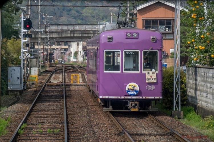 Arashiyama-1-2 (Large).jpg