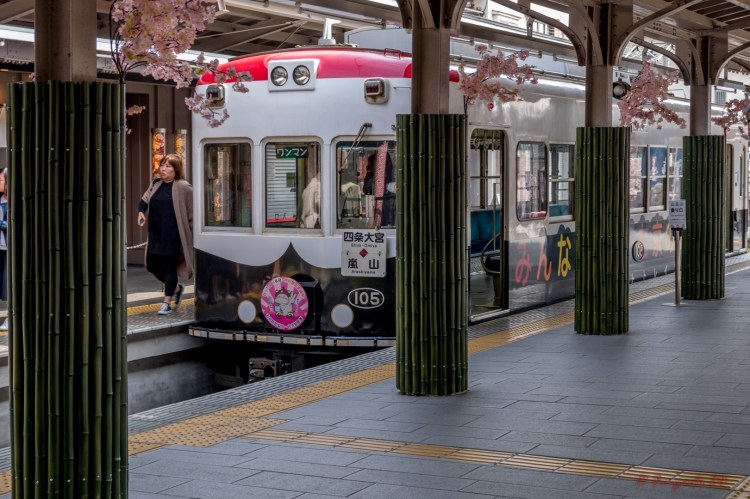 Arashiyama-1-3 (Large)