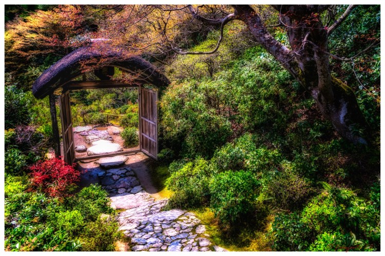 Arashiyama-1-6 (Large)