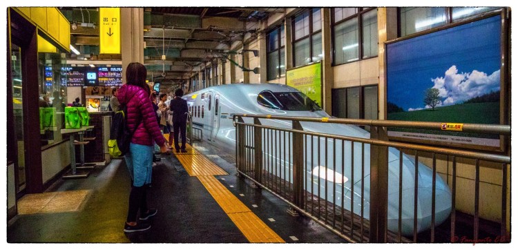 Hiroshima-1-7 (Large)