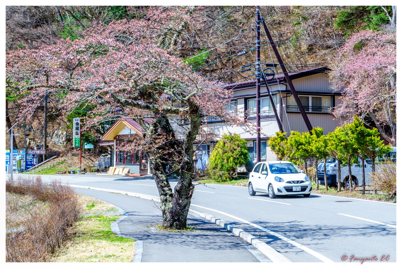 kawaguchiko-1-29 (Large)