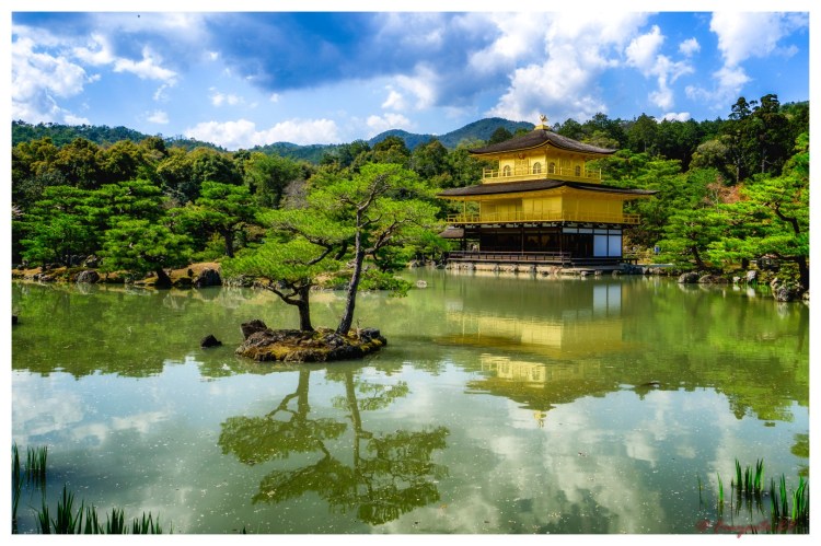 Kinkakuji-1-2 (Large)