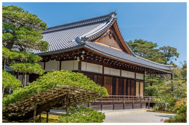 Kinkakuji-1-4 (Large)