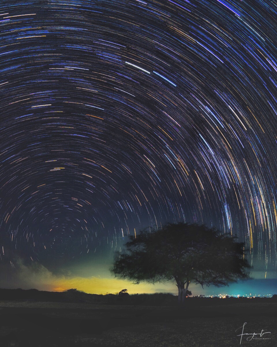 Star Trails di Baluran
