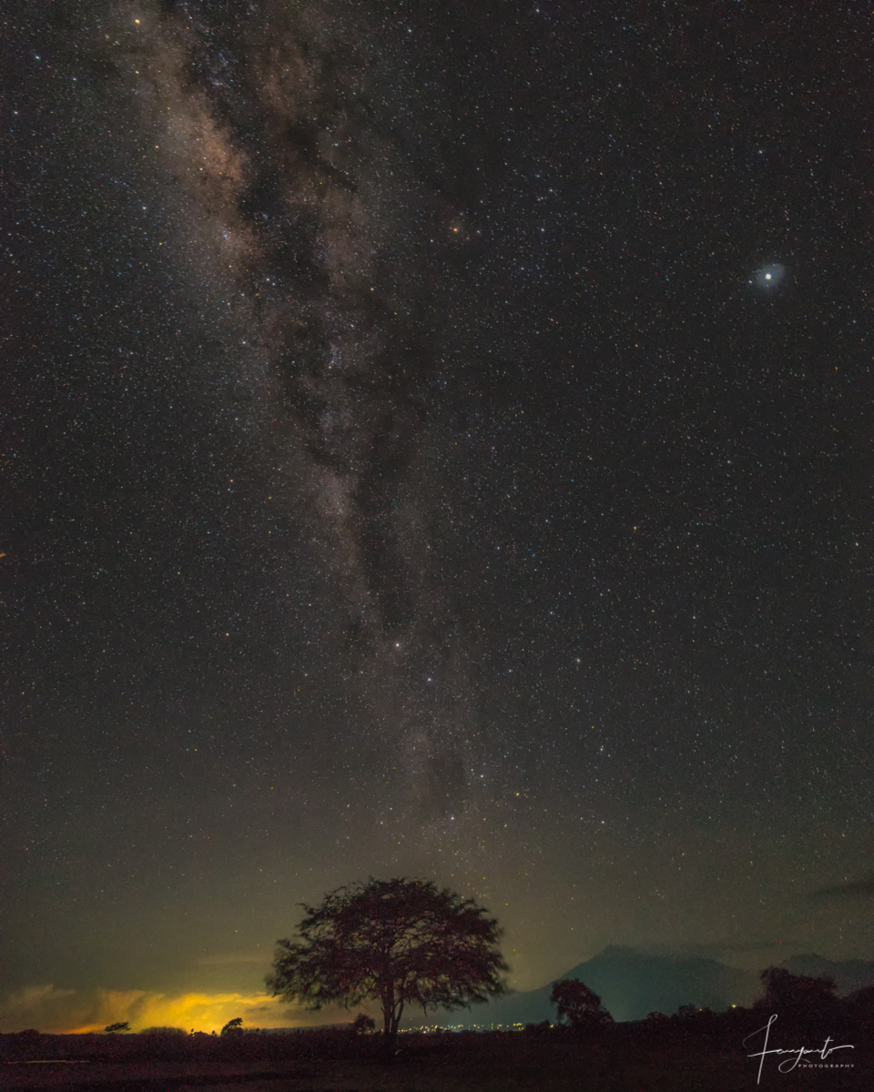 Pesona langit malam di Baluran dengan Galaxy Bima Sakti - Milky Way