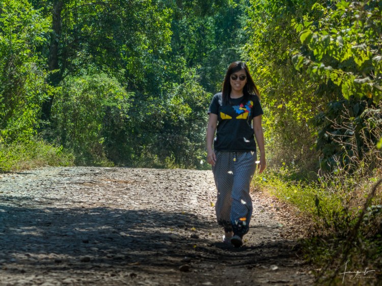 Explore Hutan Evergreen